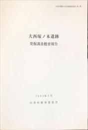 大西塚ノ本遺跡　　	山添村埋蔵文化財発掘調査報告　２集