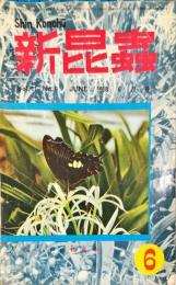 新昆蟲　１１巻６号（１９５８年6月）