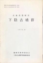 下陰古墳群 : 兵庫県豊岡市　　　豊岡市立郷土資料館調査報告書9集