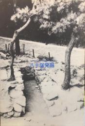 八十塚発掘 : 西宮市立郷土資料館第9回特別展展示案内図録