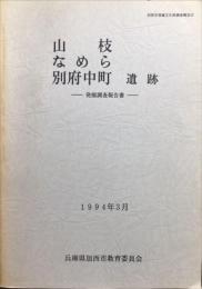 山枝・なめら・別府中町遺跡 : 発掘調査報告書　加西市埋蔵文化財報告２２