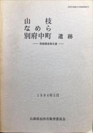 山枝・なめら・別府中町遺跡 : 発掘調査報告書　加西市埋蔵文化財報告２２