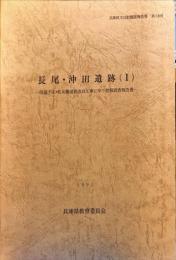 長尾・沖田遺跡 : 県道下庄・佐用線道路改良工事に伴う発掘調査報告書. 1
　兵庫県文化財調査報告書　第100冊