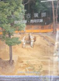 
長岡京市文化財調查報告書第35