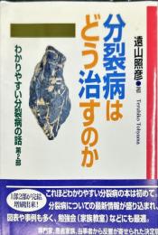 分裂病はどう治すのか: わかりやすい分裂病の話