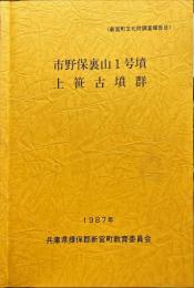 市野保裏山1号墳・上笹古墳群 ＜新宮町文化財調査報告 8＞