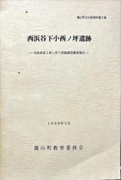 西浜谷下小西ノ坪遺跡 : 宅地造成工事に伴う発掘調査概要報告 ＜篠山町文化財資料9集＞