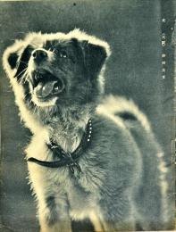 写真報國　124号(1938年6月)