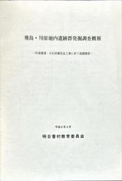 飛鳥・川原地内遺跡群発掘調査概報 : 村道豊浦・小山田線改良工事に伴う発掘調査