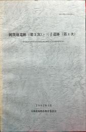 岡開地遺跡(第3次)・三子遺跡(第4次) : 平成12年度農業集落排水事業別府西地区に伴う埋蔵文化財発掘調査報告書
加西市埋蔵文化財報告46