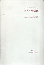 大八木水田遺跡 : 高崎市北部第三地区土地区画整理事業に伴う調査報告
　　高崎市文化財調査報告書12集