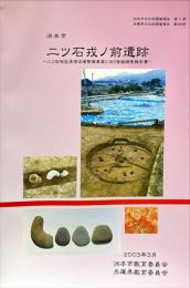 二ツ石戎ノ前遺跡
(洲本市文化財調査報告 ; 第9冊) (兵庫県文化財調査報告 ; 第260冊)
洲本市所在
二ツ石地区県営ほ場整備事業に伴う発掘調査報告書