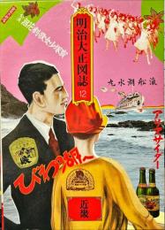 明治大正図誌１２　近畿