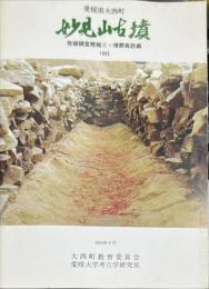 妙見山古墳発掘調査概報Ⅱ　埋葬施設編