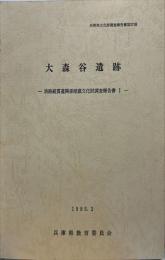 兵庫県文化財調査報告書. 第27冊 (淡路縦貫道関係埋蔵文化財調査報告書 1 大森谷遺跡)