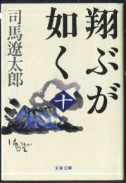 翔ぶが如く　（十）
