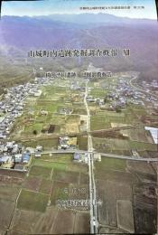 山城町内遺跡発掘調査概報　12　綺田渋川遺跡 試掘調査報告
　　　京都府山城町埋蔵文化財報告書30集