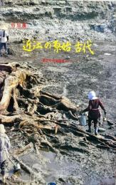 近江の原始・古代 : 最近の発掘調査から 特別展