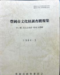 豊岡市文化財調査概報集
豊岡市文化財調査報告書 豊岡市立郷土資料館報告書13