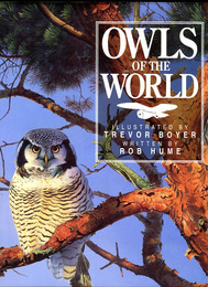 ＯＷＬＳ  ＯＦ  ＴＨＥ  ＷＯＲＬＤ （英）世界のふくろう