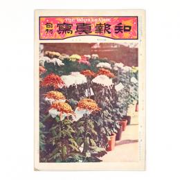 旬刊写真報知　3巻32号