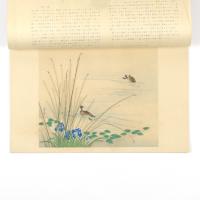 国華　83号