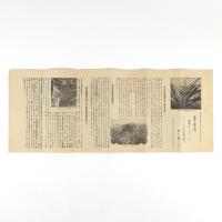 拓務省後援　ブラジル自作農募集　パンフレット