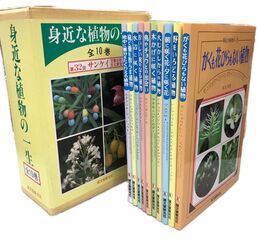 身近な植物の一生　全10冊揃