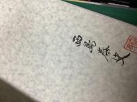 飛の美をもとめて : 旅客機写真集