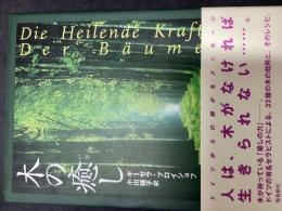 木の癒し