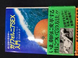 カリフォルニアSEX入門
