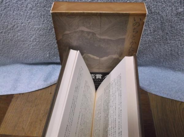 いのちとかたち 日本美の源を探る(山本 健吉 (著) ) / 古本、中古本