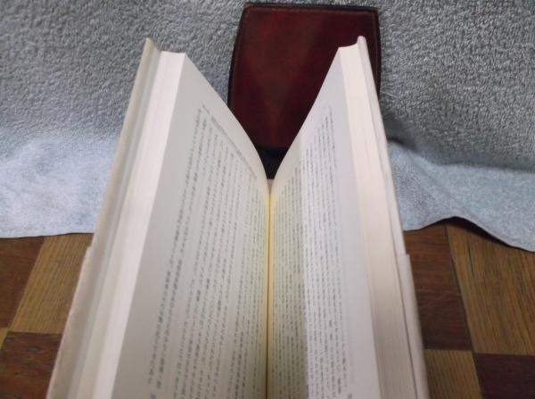 自白: 真実への尋問テクニック | フレッド E.インボー, 小中