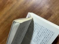 ノストラダムス霊界大予言