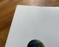 成長する魂の神秘　愛と生命の秘密