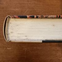 素朴の大砲 : 画志アンリ・ルッソー