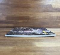 日本の美術No.314 文殊菩薩像