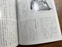 日本の美術No.312 如意輪観音像・馬頭観音像