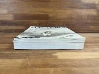 日本の美術No.334・335・336 ・337・338　水墨画　如拙・周文・宗湛/雪舟とその流派/大徳寺派と蛇足/祥啓と雪村/能阿弥から狩野派へ
5冊