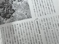 日本の美術No.418 日本の宋元仏画