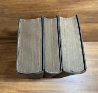 清国通商綜覧第一巻天・地　第二巻天地　3冊揃い