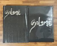 SALOME（サロメ）　肉体からの心象風景