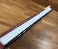 Keyhole Cuties THE PIN-UP ART OF CELESTE GIULIANO