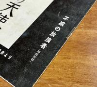 嘆きの天使　パンフ
