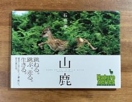 山鹿