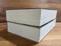 大いなる秘密 上　爬虫類人/大いなる秘密 下　世界超黒幕　2冊