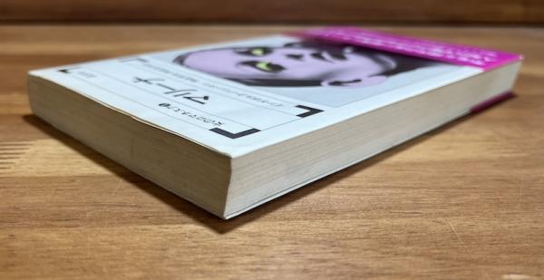 マリーナ 女のロマネスク1 (インゲボルク・バッハマン) / 古本、中古本