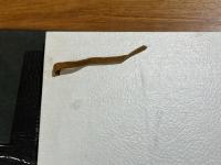 神秘的な時代の詩　特装本　限定150部　吉岡実毛筆書名入　黒崎彰木版装　