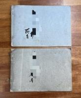 女子高等畫帖第三巻・第五巻　二冊（各彩色木版12図）