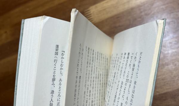 近代日本霊異実録(笠井鎮夫) / 古本、中古本、古書籍の通販は